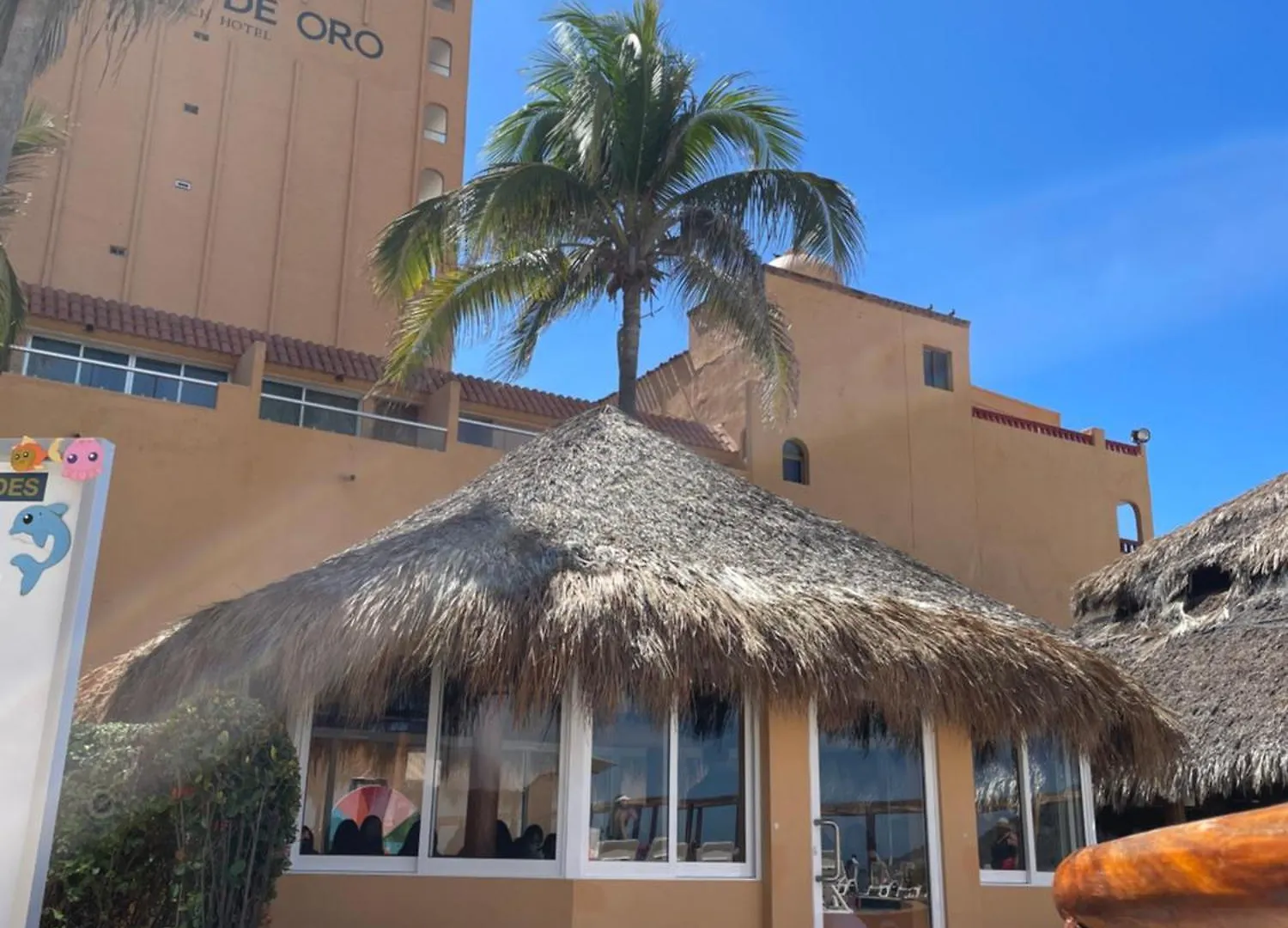 ***  Costa De Oro Beach Hotel Mazatlan Mexico